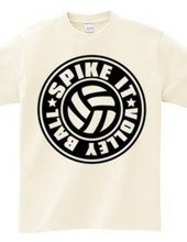 Spike_It_Volleyball