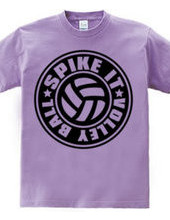 Spike_It_Volleyball