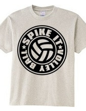 Spike_It_Volleyball