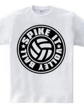 Spike_It_Volleyball