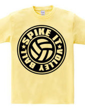 Spike_It_Volleyball