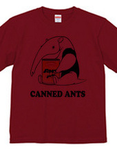 Anteaters and ants can