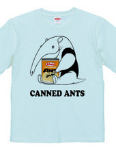 Anteaters and ants can