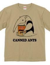 Anteaters and ants can