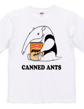 Anteaters and ants can