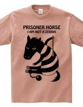 prisoner horse 　シマウマじゃないよ！