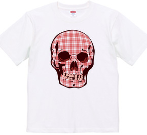 Skull_check_01