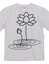 Lotus Flower