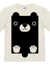 Square Bear