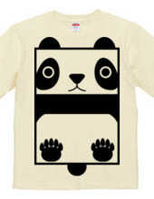 Square Panda