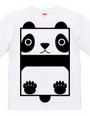 Square Panda