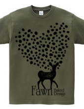 Fawn 02