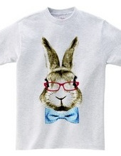 Rabbit in glasses