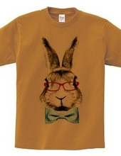 Rabbit in glasses