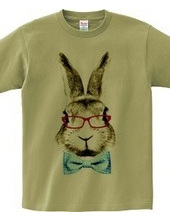 Rabbit in glasses