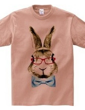 Rabbit in glasses