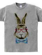 Rabbit in glasses