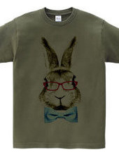 Rabbit in glasses