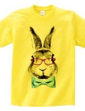 Rabbit in glasses