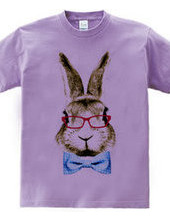 Rabbit in glasses