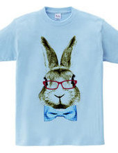 Rabbit in glasses