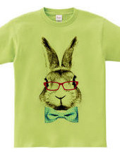 Rabbit in glasses