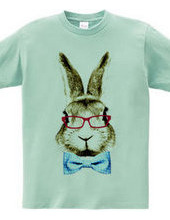 Rabbit in glasses