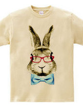 Rabbit in glasses