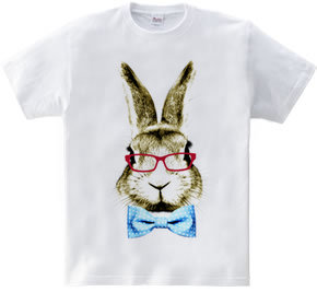 Rabbit in glasses