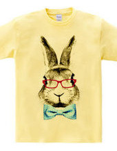 Rabbit in glasses