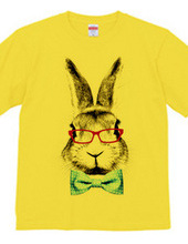 Rabbit in glasses