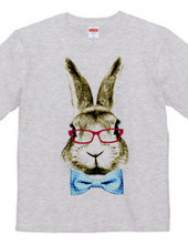 Rabbit in glasses