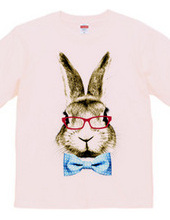 Rabbit in glasses