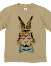 Rabbit in glasses