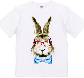 Rabbit in glasses