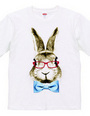 Rabbit in glasses