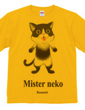 Mr. neko