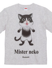 ミスターｎｅｋｏ