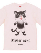 ミスターｎｅｋｏ