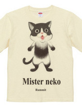 Mr. neko