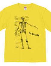 The skeleton