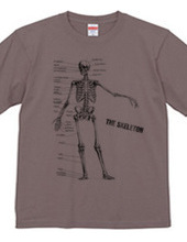 The skeleton