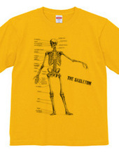 The skeleton