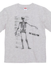 The skeleton