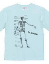 The skeleton