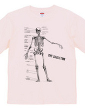 The skeleton