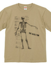 The skeleton