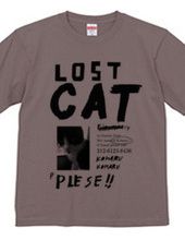 LOSTCAT