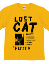 LOSTCAT