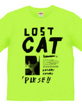 LOSTCAT